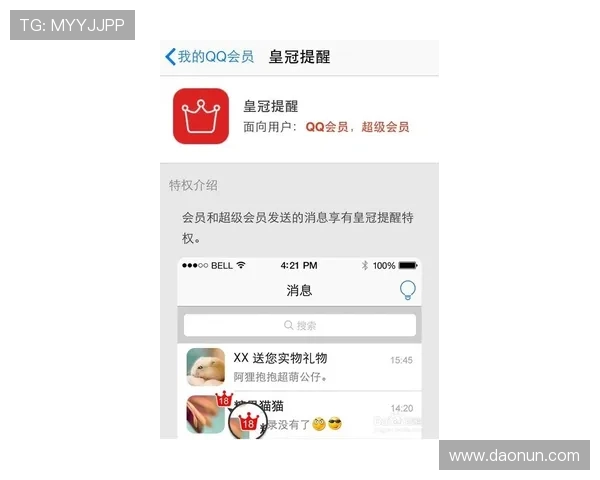 如何确认自己所使用的皇冠会员版本及其对应权益