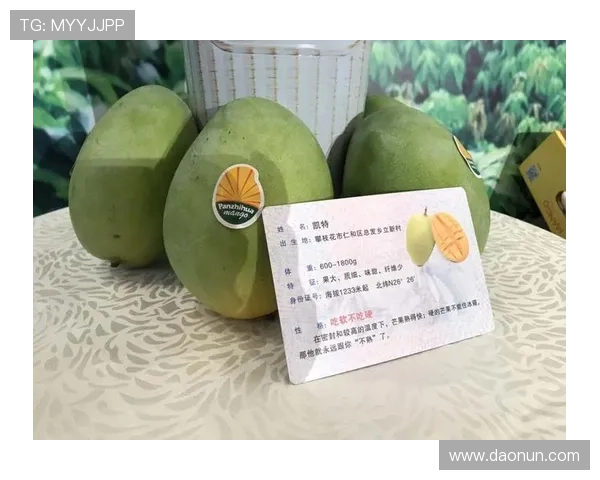 澳门皇冠开户常见问题汇总,快速掌握开户流程与注意事项 澳门皇冠开户常见问题汇总,快速掌握开户流程与注意事项