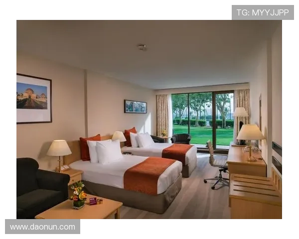 皇冠线上网址下载后遇到问题怎么办，提供专业解决方案帮助用户顺利使用